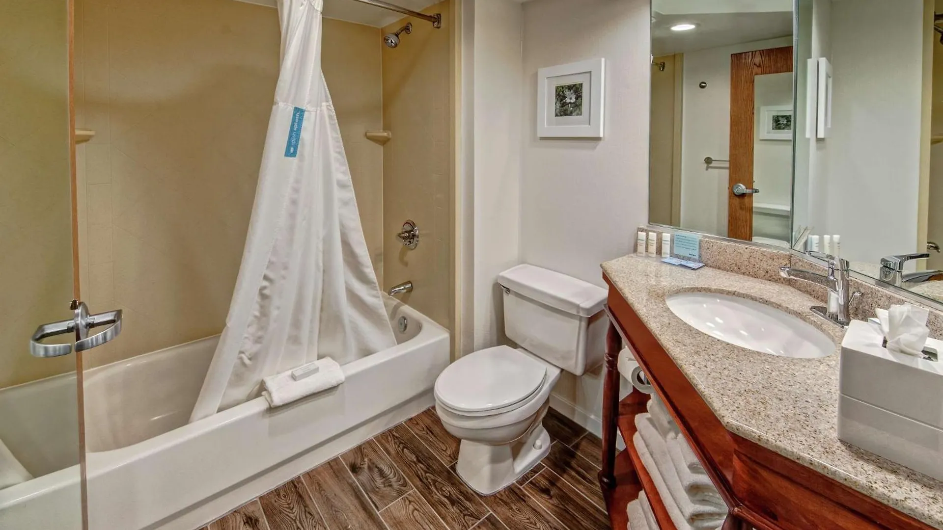 Hampton Inn Charlotte/Matthews Hotel
